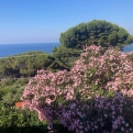 La bellezza del Creato