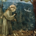 Giubileo Francescano. Celebrazioni, Veglie, Incontri